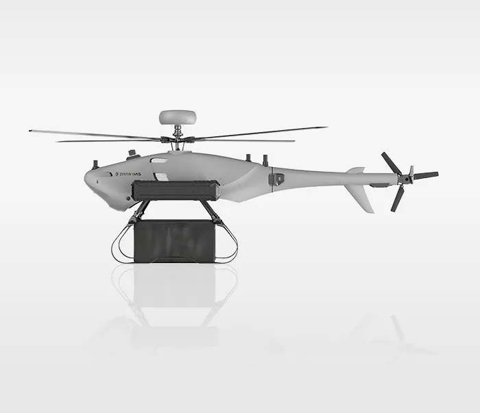 Grey whale uav